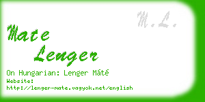 mate lenger business card